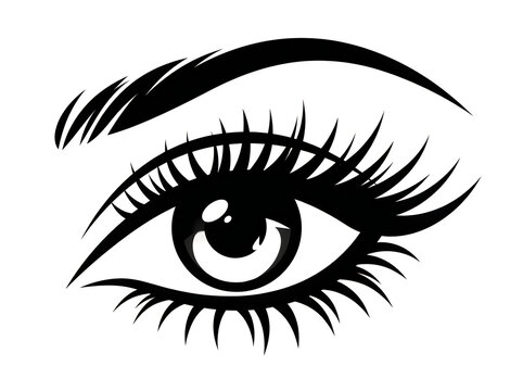 Close-up of a stylish human eye with long lashes