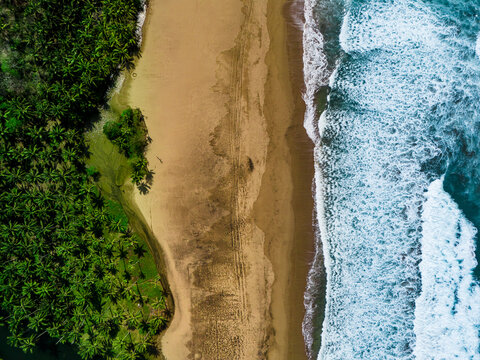 Aerial view of Pantai Wonogoro with lush palm trees bordering the sandy beach and turquoise waves crashing on the shore in Malang, East Java, Indonesia.