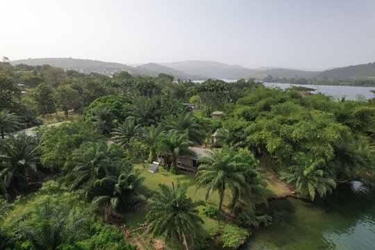 Aerial view of the lush landscape along the Volta River, featuring dense palm trees, green vegetation, and a small building nestled near the water in Akosombo, Eastern Region, Ghana.