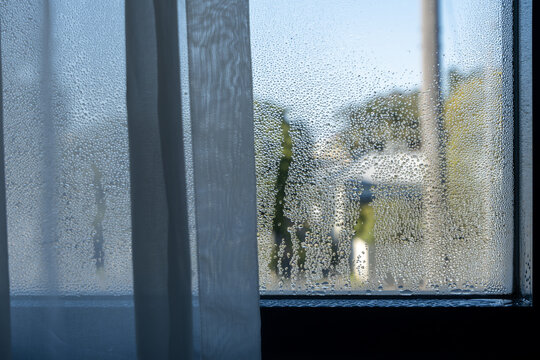 Condensation droplets on the inside of a window pane with a sheer curtain beside it. Indoor humidity and condensation, cold mornings and winter living at home, moisture control and home ventilation