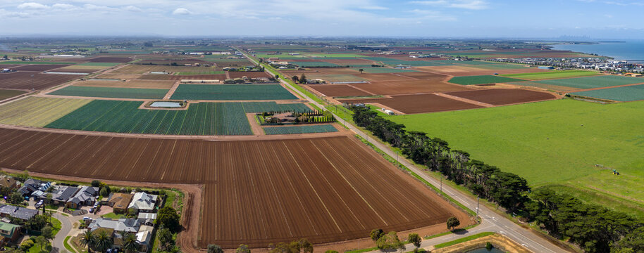 Panoramic aerial view of farmland at Werribee South, Melbourne, Australia, with freshly ploughed fields, vegetable crop row, a straight country road lined with windbreak trees, suburban houses.