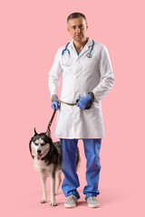 Veterinary care and animal health, male veterinarian with husky dog on leash for medical checkup in clinic © Pixel-Shot