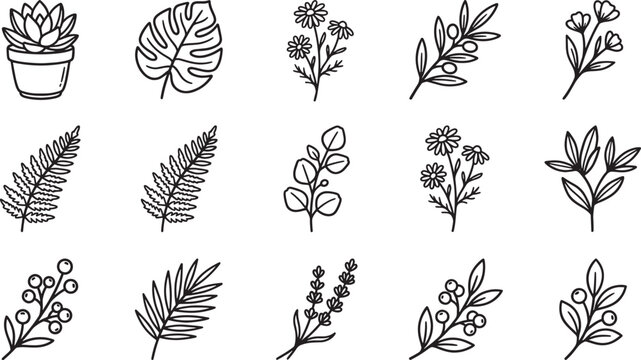 Collection of hand-drawn botanical featuring various leaves, flowers, ferns, lavender, berries, and sprigs in a line style