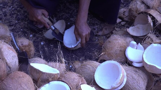 Close-Up Hands of Senior Woman Peeling Fresh Coconut Meat from Shell