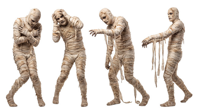 Four ancient mummies in tattered wraps, transparent background