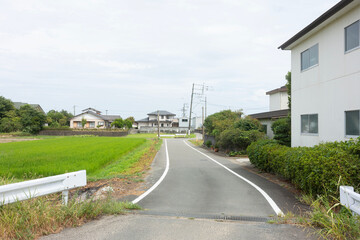 青々とした水田と民家が並ぶ、のどかな郊外の生活道路の風景 © hirota