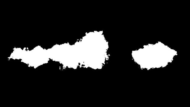 black ink splash and spreading paint. watercolor ink drops bleeding into wet paper, fluid swirls and expanding grunge stains on a white backdrop. 4k 3d transition effect.