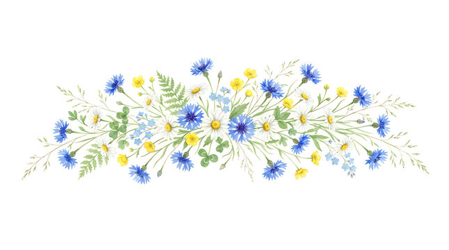 Beautiful blue cornflower blooms in natural setting