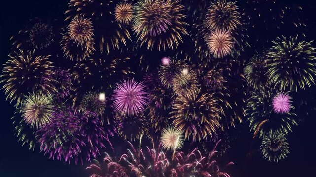 Vibrant fireworks exploding in a dark night sky with multiple colors and patterns celebration explosion