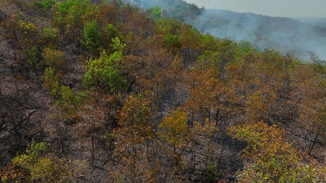 Drone shot of burned forest area with lingering smoke and dry trees, illustrating extreme climate conditions, global heating, carbon impact, the critical push toward sustainability and net zero goals.
