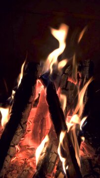 暗闇で激しく燃え上がる薪と暖かな焚き火の炎