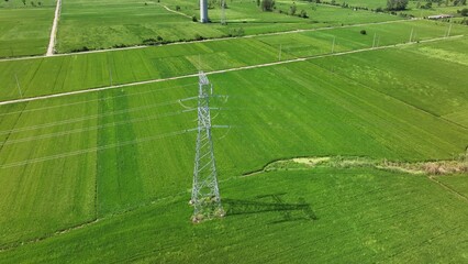 Fototapeta premium high voltage transmission tower in green farmland of xinjiang