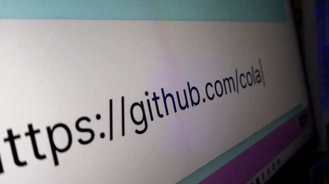 A close up view of a computer monitor displaying the github website url in the browser address bar.