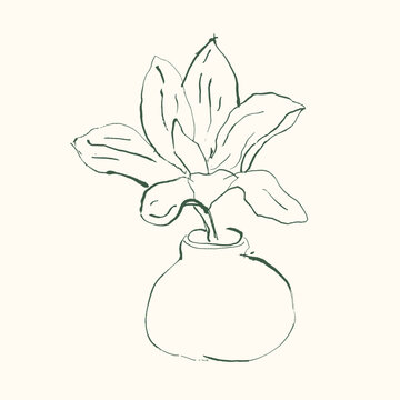 hand drawn magnolia flower doodle illustration