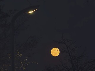 halloween night background © Imamzyah