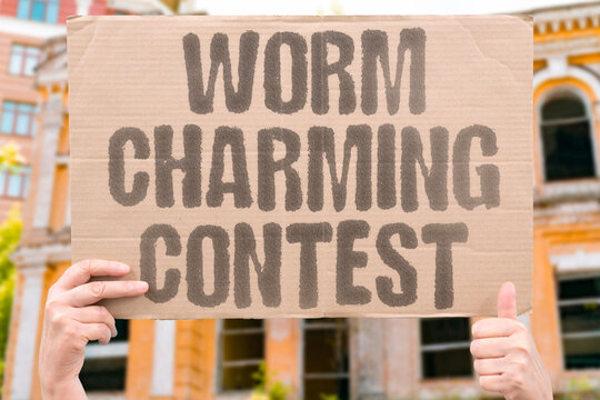"Worm charming contest" Competitors coax earthworms from lawns using vibrations, music, water, and clever tricks in a muddy contest. WORM. CHARMING. CONTEST. EARTHWORMS. COMPETITORS.
