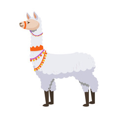 Cute White Llama Wearing Colorful Decorative Harness Cartoon Illustration © icons
