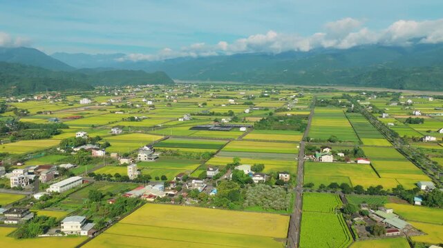 Aerial view of agriculture in rice fields and village, Taiwan.