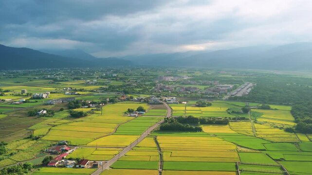Aerial view of agriculture in rice fields and village, Taiwan.