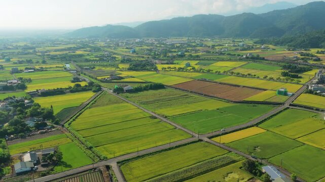 Aerial view of agriculture in rice fields and village, Taiwan.