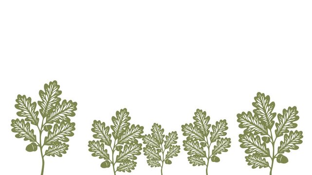 Green Botanical Leaf Silhouettes in Row on White Background Minimal Nature Animation