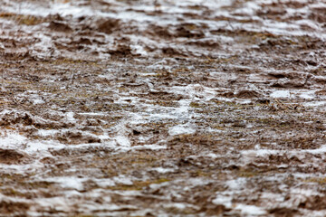 Fototapeta premium Muddy ground after heavy rain as a background