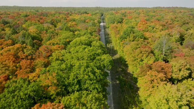 Fast flight over a road through fall forest, Manitoulin Island