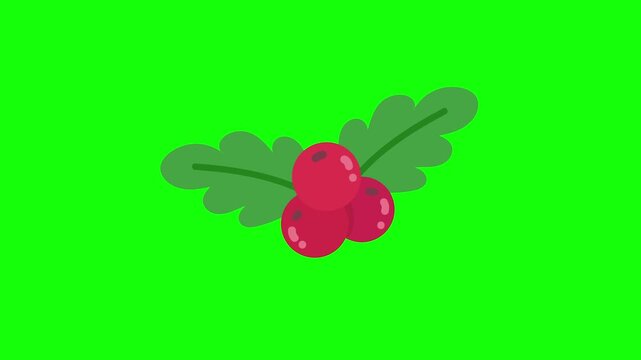 Festive red holly berries and green leaves flat illustration on a bright green background