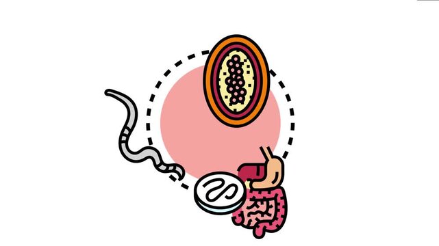 Parasitic organism outbreak illustrates the cycle of infection with worms and eggs affecting human internal organs, representing disease transmission and biological pathology