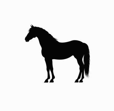 horse silhouette vector