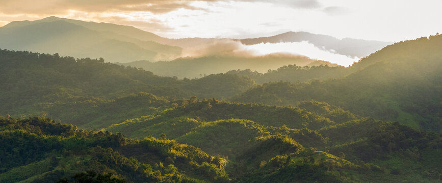 Banner Sunrise mountain fog landscape Romantic landscape foggy green mountain valley. Banner foggy hills sun light time. Morning nature golden dawn sky scenery. Scenic beautiful sky with copy space