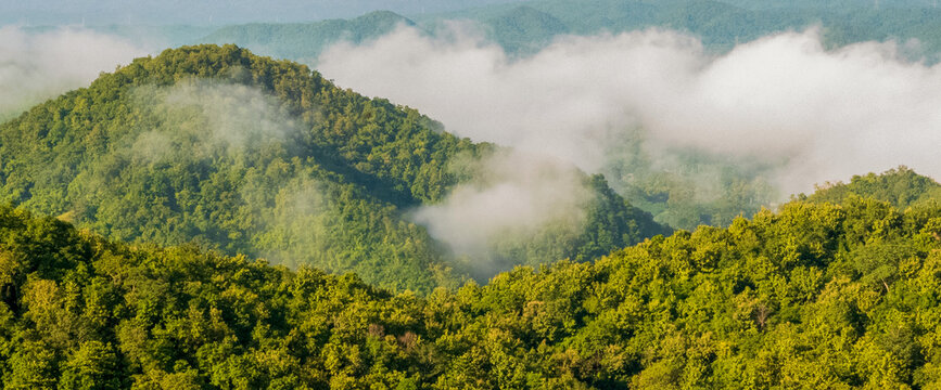 Banner Sunrise mountain fog landscape Romantic landscape foggy green mountain valley. Banner foggy hills sun light time. Morning nature golden dawn sky scenery. Scenic beautiful sky with copy space