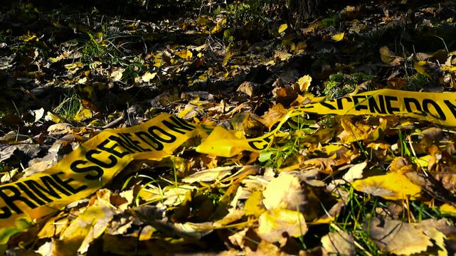 Yellow police tape reading crime scene do not cross resting on a bed of dry autumn leaves and grass in a sunlit forest, suggesting a completed or ongoing investigation in a wooded area