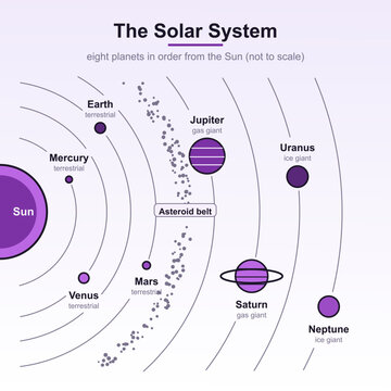 Ocho planetas &oacute;rbitas y cintur&oacute;n de asteroides diagrama