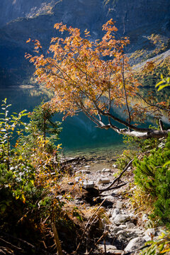 Morskie Oko Tatry