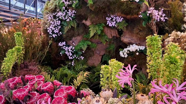 Chelsea Flower Show fynbos waterfall display with proteas and other endemic species in Stanford South Africa
