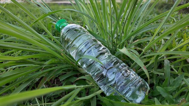 Discarded Plastic Bottle Lying on Grass with Fresh Green Background
