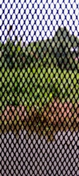 Close-up view of a metal wire mesh or screen net with a blurred natural green outdoor background.