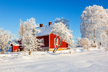 Idyllic red wooden cottage surrounded by deep snow and frost covered trees in garden © Lars Johansson