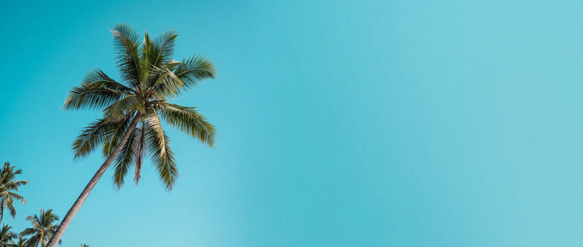 Majestic palm trees reaching towards a clear azure sky, capturing the essence of a tranquil tropical paradise, perfect for summer vacation and serene beach getaways