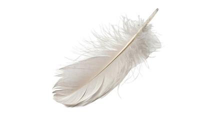 Single fluffy white bird feather with soft delicate texture, isolated on transparent background. © Leo