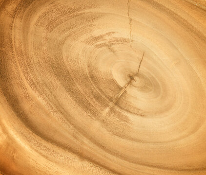 brown wooden texture wall