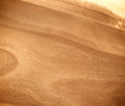brown wooden texture wall