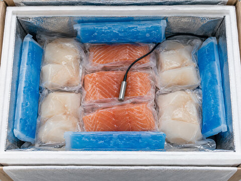 Cold Chain Seafood Packaging with Temperature Sensor and Ice Packs