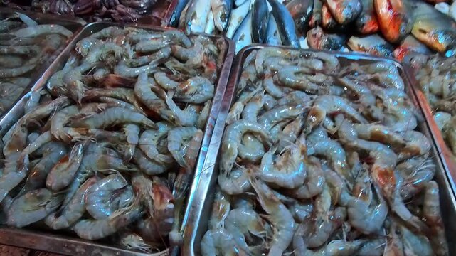 Video of Hand selecting fresh Prawn on a bustling Fish market stall. Metal trays hold dozens of live shrimp. Fish and squid line the stall's surface. Vendor's hands sort through the catch. 4K Footage