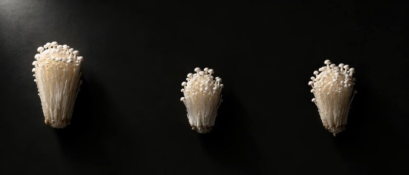 Three white enoki mushrooms stand on a black surface