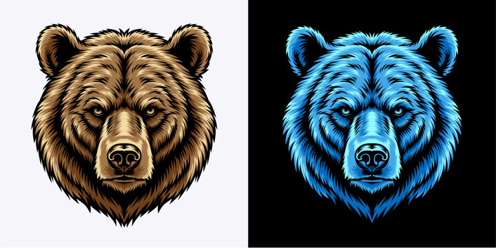 Bear head vector illustration