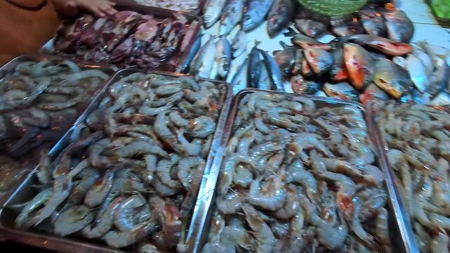 Video of Hand selecting fresh Prawn on a bustling Fish market stall. Metal trays hold dozens of live shrimp. Fish and squid line the stall's surface. Vendor's hands sort through the catch. 4K Footage