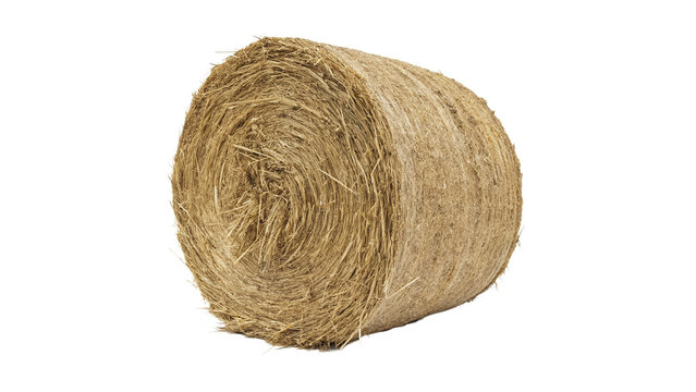 Large round agricultural hay bale straw roll farm harvesting field fodder, isolated on transparent background.