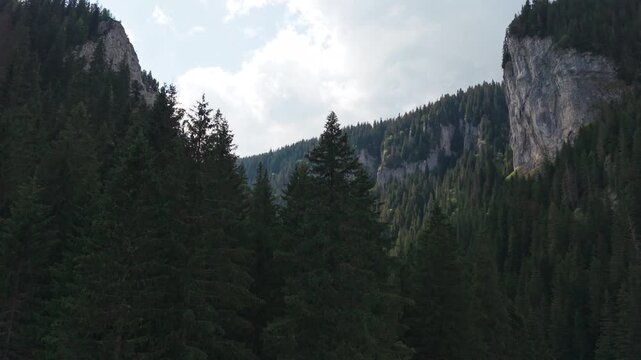 Close Aerial View of Forested Zanoaga Limestone